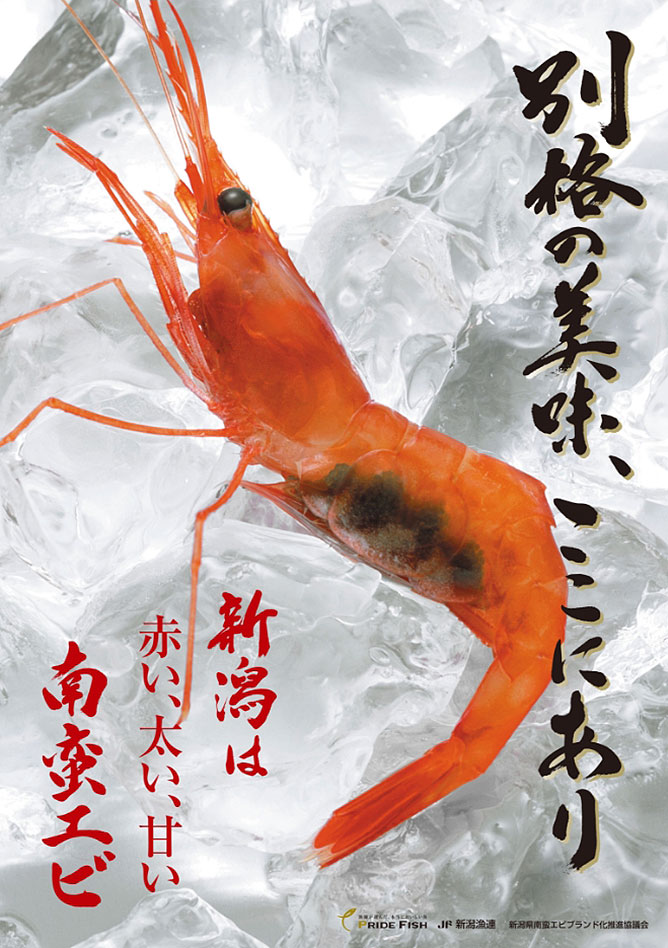 pride_fish