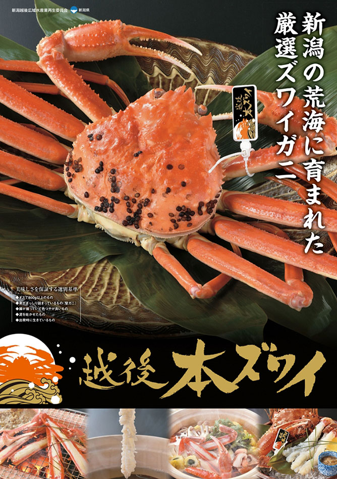 pride_fish