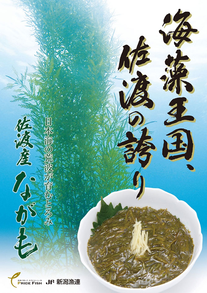 pride_fish
