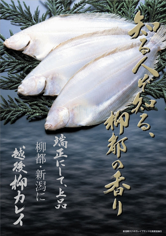 pride_fish